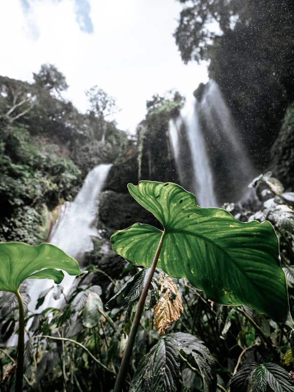 Sekumpul Waterfall a Lovina